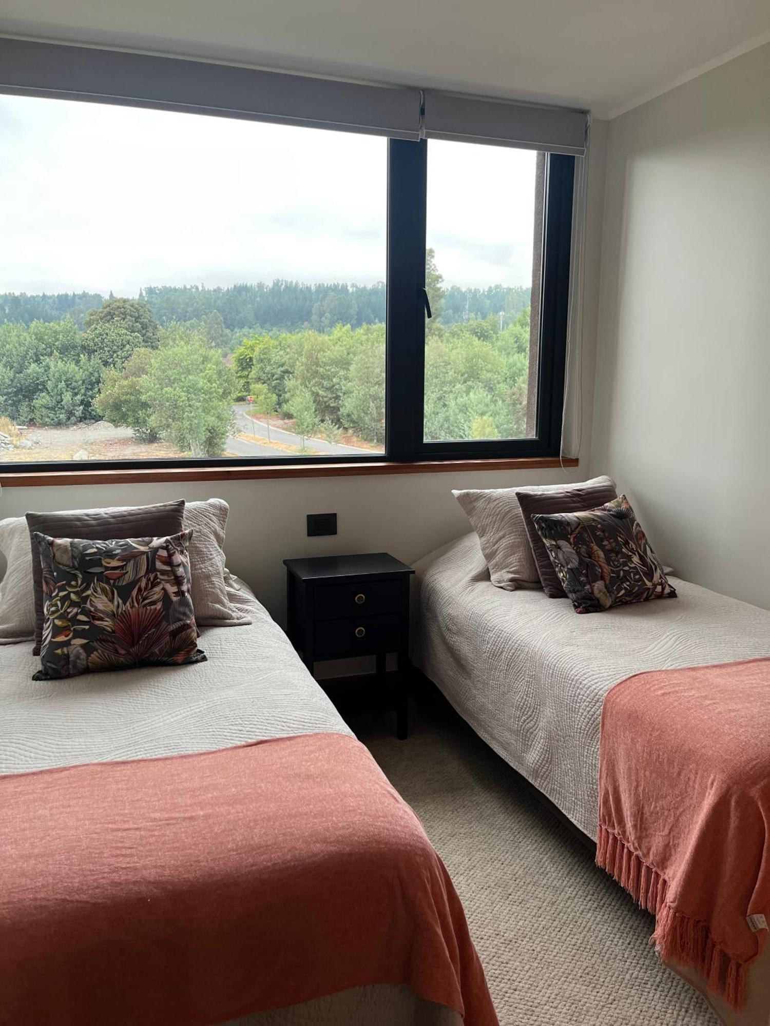 Apartamento Departamento La Puntilla De Orilla Villarrica